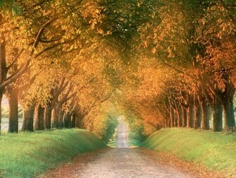 Wallpaper Fall Colors