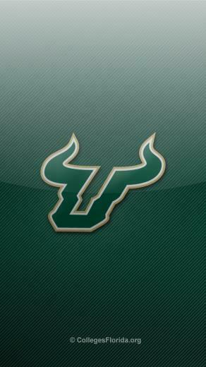 South Florida Usf Bulls iPhone Wallpaper Colleges In