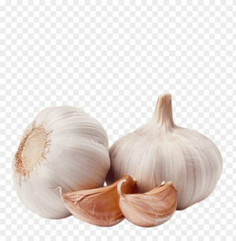 Garlic Png Image With Transparent Background Toppng