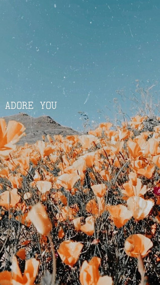 Harry Styles Wallpaper