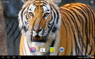 Tiger Live Wallpaper Ndir Android I In Canl Duvar Ka D