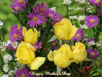 Yellow Rose Flowers Wallpaper Image Fun