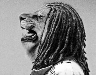 Dreadlocks HDq Wallpaper Quality HD