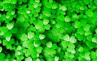 Saint Patrick S Day Photos HD 1080p