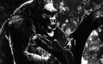 King Kong Wallpaper Photos HD Movie