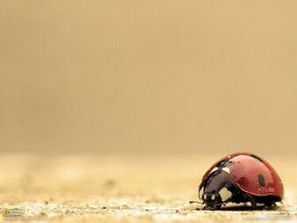 National Geographic Photography Contest Winners
