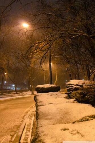 New York City Central Park 4k HD Desktop Wallpaper For