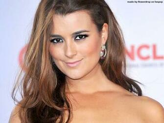 Cote De Pablo Image Wallpaper HD