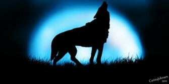 White Wolf Howling At The Moon Wallpaper Big By