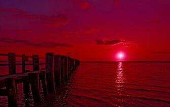 Pink Sunset