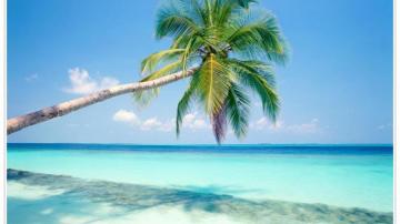 Yba Best Travel Agency In India
