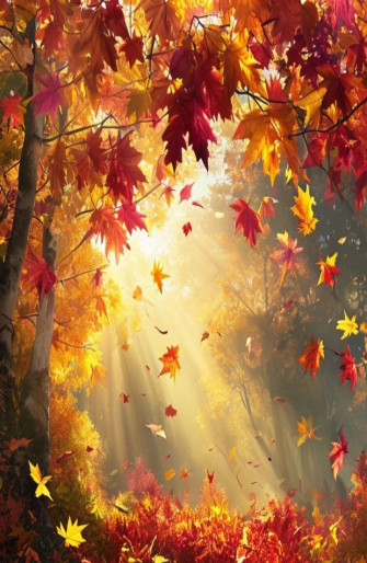 Autumn Wallpaper