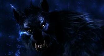 Werewolf Computer Wallpaper Desktop Background Id