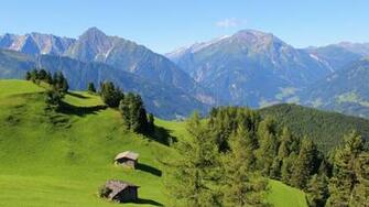 Alpine Meadows And Blue Desktop Wallpaper