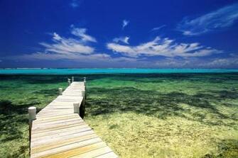 Beautiful Jamaica Weddings Wallpaper HD Desktop Background For