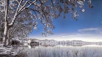 The Snow Winter Scene Trees In Mountain