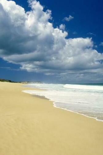 Summer Beach iPhone Wallpaper