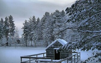 Beautiful Winter Scenery HD Wallpaper Wallbo