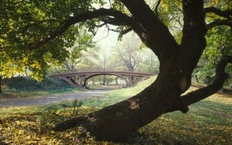 Central Park Photo