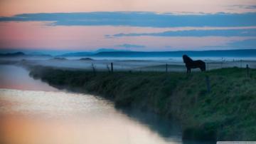 Horse Landscape Ultra HD Desktop Background Wallpaper For 4k UHD