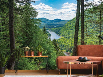 Mountain River Wallpaper About Murals