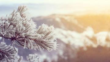 Blizzard Blast A New Winter Fundraising Event In Las Cruces