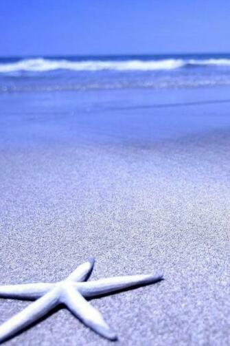 iPhone Sea Beach Wallpaper Area HD