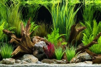 Marina Double Sided Aquarium Background Oasis Slate Wall 46cm