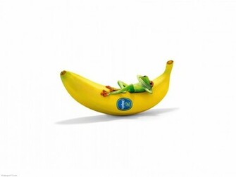 Chiquita With Frog Funny Fun Wallpaper Cute