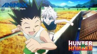 Hunter X Image Gon Killua Wallpaper Photos