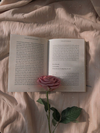 Rose Gold Aesthetic Wallpaper