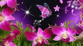Butterflies And Flowers Butterfly Orchid Purple Stars