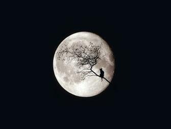 Moon HD Wallpaper Sf