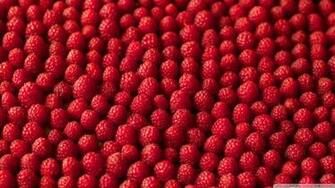 Raspberries Bokeh 4k HD Desktop Wallpaper For Dual Monitor