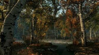 Gtx And Skyrim Need Help Resolving An Issue Geforce Forums
