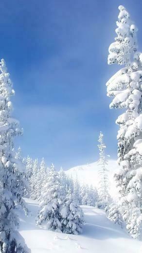 Winter iPhone Wallpaper Newevolution