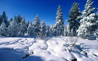 Winter Snow Scenes Wallpaper