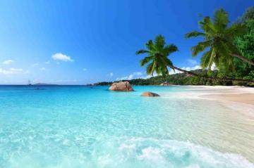 Ocean Beach Wallpaper For Android Apk