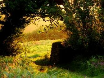 Wallpaper Pictures Photos Field And Sunset