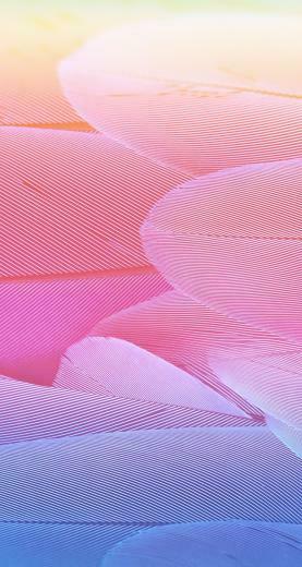 Warm Vector Swirl Feather iPhone Se Wallpaper
