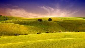 Wallpaper Green Nature
