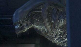 Wallpaper Alien Isolation HD Upload At September