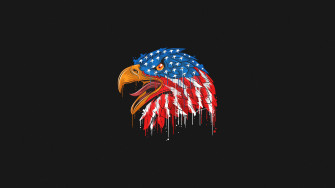 American Flag Eagle Minimal 4k 1440p Resolution HD Wallpaper