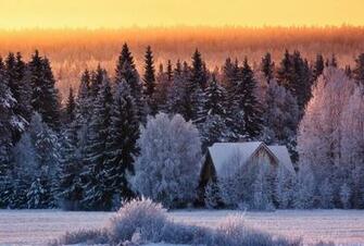 Wallpaper Cold Winter Day