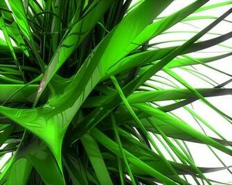 Green Abstract HD Wallpaper Res