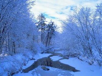 Winter Scene Christmas Wallpaper