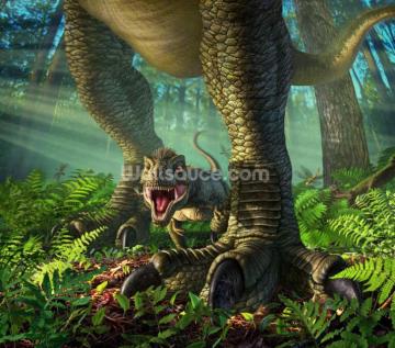 Dinosaur Wallpaper Wall Murals Wallsauce Us