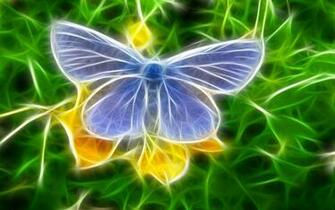 Colorful Creative Butterfly Wallpaper HD