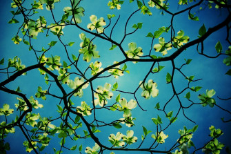 Unique Desktop Background Wallpaper