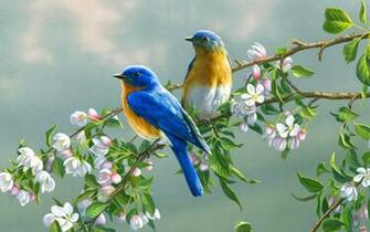 Birds In Love Colorful
